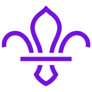 The Scout Association image